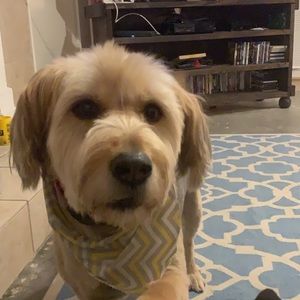 Meet your Posher, Krystal